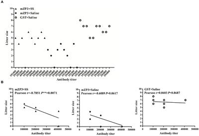 Ovarian Oxidative Stress Induced Follicle Depletion After Zona Pellucida 3 Vaccination Is Associated With Subfertility in BALB/c Mice